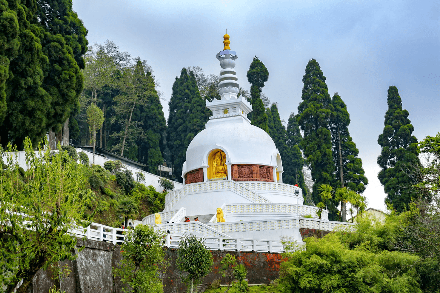 Darjeeling Local Sightseeing