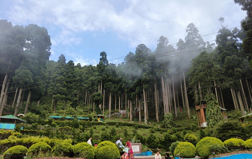 Local Lamahatta-Peshok Sightseeing